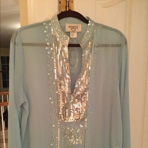 Light Blue sheer top with Silver accents